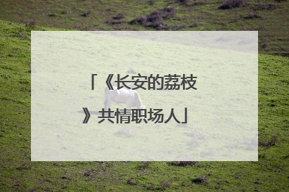 《长安的荔枝》共情职场人