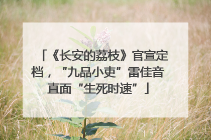 《长安的荔枝》官宣定档，“九品小吏”雷佳音直面“生死时速”