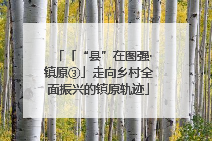 「“县”在图强·镇原③」走向乡村全面振兴的镇原轨迹