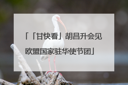「甘快看」胡昌升会见欧盟国家驻华使节团