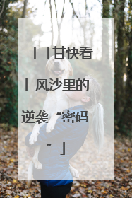 「甘快看」风沙里的逆袭“密码”