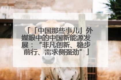 「中国那些事儿」外媒眼中的中国新能源发展：“非凡创新、稳步前行、需求侧强劲”