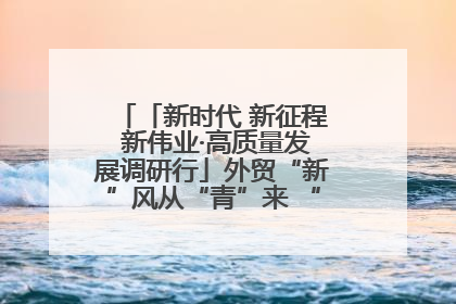 「新时代 新征程 新伟业·高质量发展调研行」外贸“新”风从“青”来 “双向奔赴”启新程