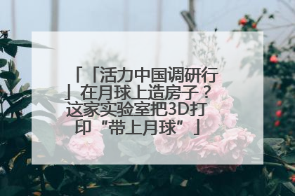 「活力中国调研行」在月球上造房子？这家实验室把3D打印“带上月球”