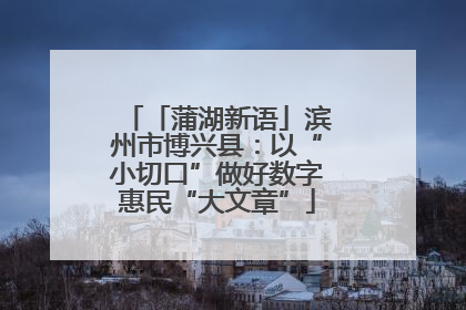 「蒲湖新语」滨州市博兴县：以“小切口”做好数字惠民“大文章”