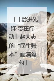「黔进先锋·贵在行动」赵大志的“民生账本”画满勾勾