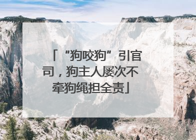 “狗咬狗”引官司，狗主人屡次不牵狗绳担全责