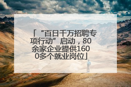 “百日千万招聘专项行动”启动，80余家企业提供1600多个就业岗位