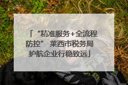 “精准服务+全流程防控” 莱西市税务局护航企业行稳致远