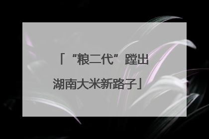 “粮二代”蹚出湖南大米新路子
