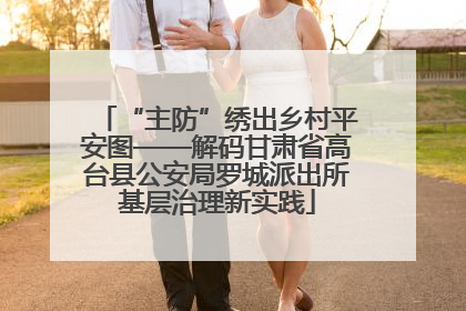 “主防”绣出乡村平安图——解码甘肃省高台县公安局罗城派出所基层治理新实践