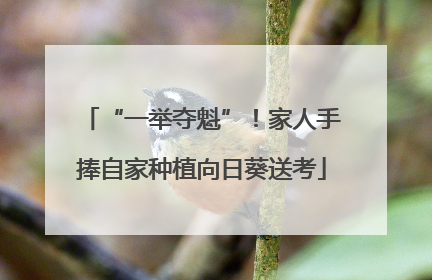 “一举夺魁”！家人手捧自家种植向日葵送考