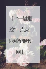 “一键顺控” 点亮玉树智能电网