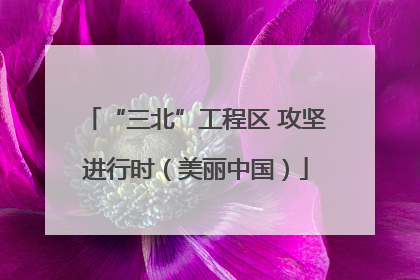“三北”工程区 攻坚进行时（美丽中国）