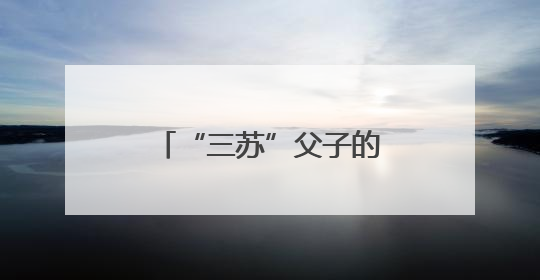 “三苏”父子的巴蜀朋友圈有哪些人？这场书画文献展上能找到答案