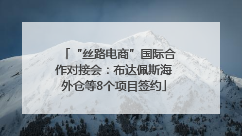 “丝路电商”国际合作对接会：布达佩斯海外仓等8个项目签约
