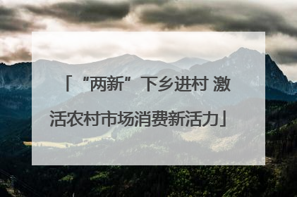 “两新”下乡进村 激活农村市场消费新活力