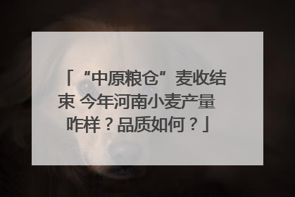 “中原粮仓”麦收结束 今年河南小麦产量咋样？品质如何？
