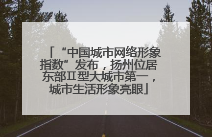 “中国城市网络形象指数”发布，扬州位居东部Ⅱ型大城市第一，城市生活形象亮眼