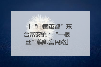 “中国茧都”东台富安镇：“一根丝”编织富民路