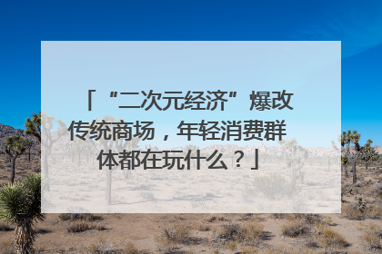 “二次元经济”爆改传统商场，年轻消费群体都在玩什么？