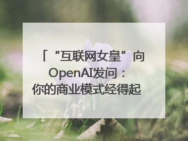 “互联网女皇”向OpenAI发问：你的商业模式经得起价格战考验么？