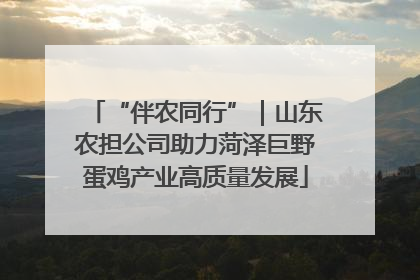 “伴农同行”｜山东农担公司助力菏泽巨野蛋鸡产业高质量发展