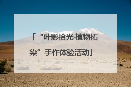 “叶影拾光·植物拓染”手作体验活动
