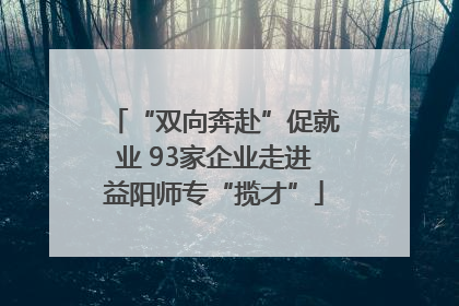 “双向奔赴”促就业 93家企业走进益阳师专“揽才”