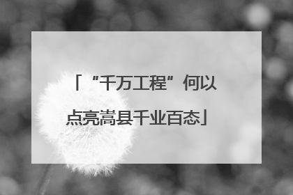 “千万工程”何以点亮嵩县千业百态
