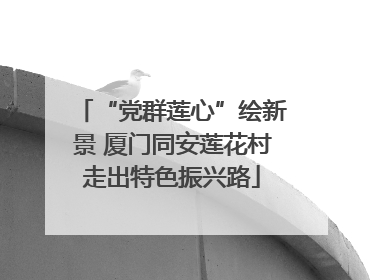 “党群莲心”绘新景 厦门同安莲花村走出特色振兴路