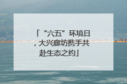 “六五”环境日，大兴廊坊携手共赴生态之约