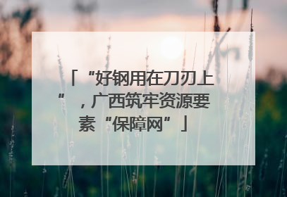 “好钢用在刀刃上”，广西筑牢资源要素“保障网”