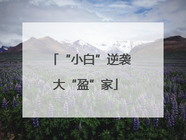 “小白”逆袭大“盈”家