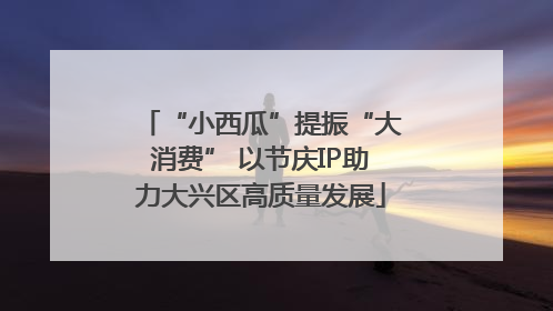 “小西瓜”提振“大消费” 以节庆IP助力大兴区高质量发展