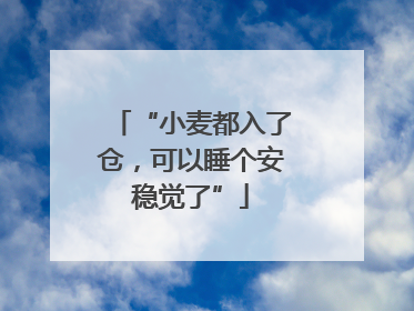 “小麦都入了仓，可以睡个安稳觉了”