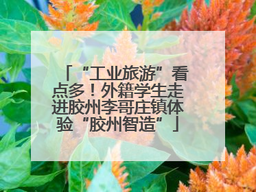 “工业旅游”看点多！外籍学生走进胶州李哥庄镇体验“胶州智造”