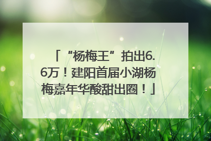 “杨梅王”拍出6.6万！建阳首届小湖杨梅嘉年华酸甜出圈！