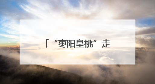 “枣阳皇桃”走进高校毕业季