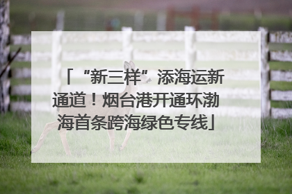 “新三样”添海运新通道！烟台港开通环渤海首条跨海绿色专线