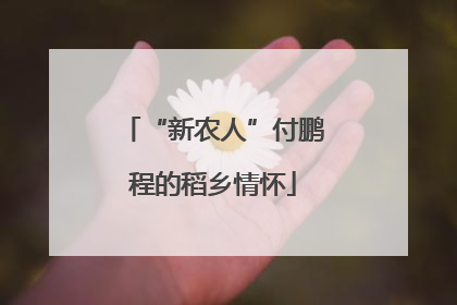 “新农人”付鹏程的稻乡情怀