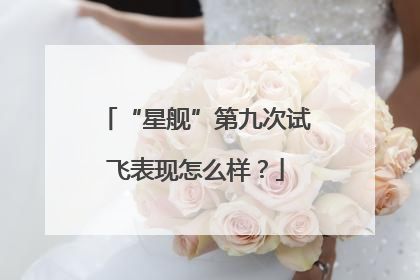 “星舰”第九次试飞表现怎么样？