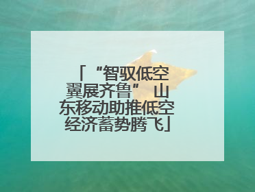 “智驭低空 翼展齐鲁” 山东移动助推低空经济蓄势腾飞