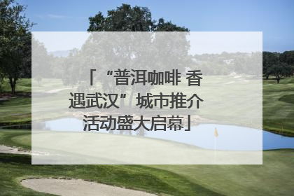 “普洱咖啡 香遇武汉”城市推介活动盛大启幕