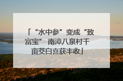 “水中参”变成“致富宝” 南漳八泉村千亩茭白喜获丰收