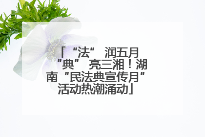“法” 润五月 “典” 亮三湘！湖南“民法典宣传月”活动热潮涌动