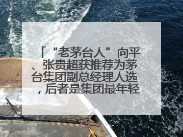 “老茅台人”向平、张贵超获推荐为茅台集团副总经理人选，后者是集团最年轻党委委员