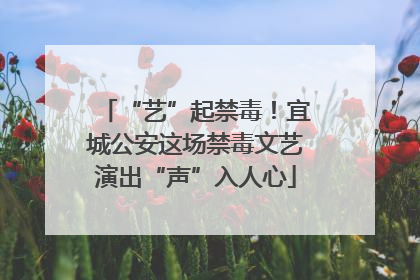 “艺”起禁毒！宜城公安这场禁毒文艺演出“声”入人心