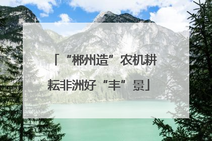 “郴州造”农机耕耘非洲好“丰”景