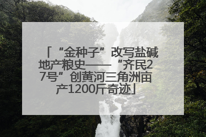 “金种子”改写盐碱地产粮史——“齐民27号”创黄河三角洲亩产1200斤奇迹